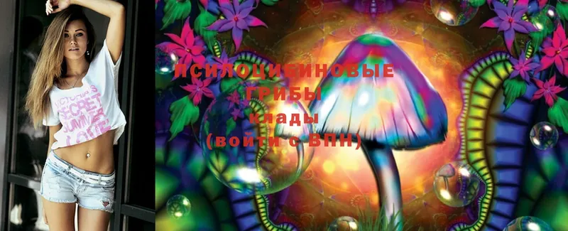 Галлюциногенные грибы MAGIC MUSHROOMS  Амурск 